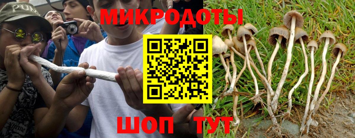 Псилоцибиновые грибы мицелий Мыски
